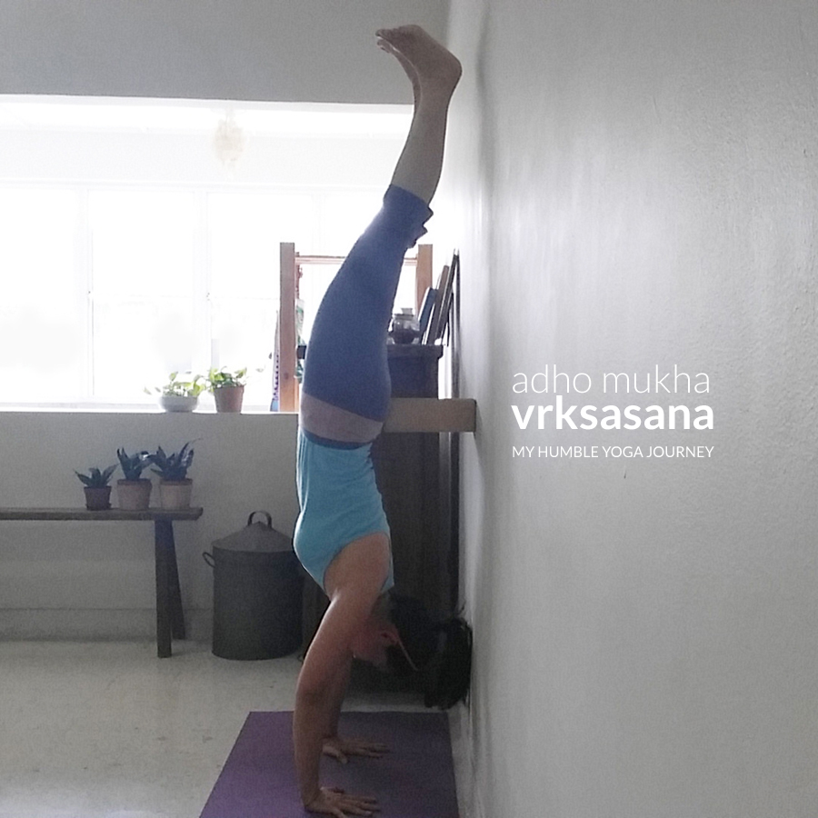 adho mukha vrksasana